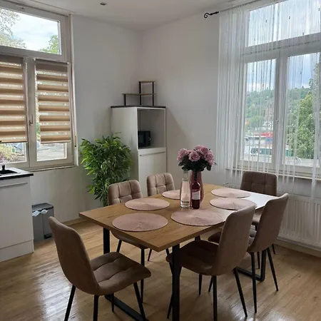 Apartman Schickes Am Rhein Mit Rheinblick 4