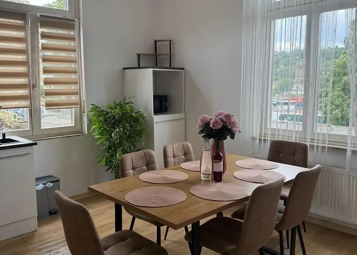 Apartment Schickes Am Rhein Mit Rheinblick 4